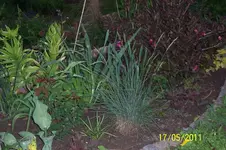 100_2821.webp