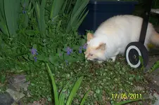 100_2822.webp