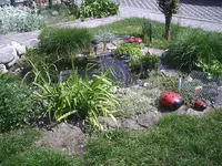 Teich1.webp