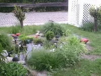 Teich2.webp