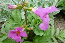 P1050160.webp