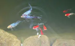die ganze Bande_kleiner.webp