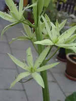 PICT0055.webp