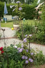 DSC05146.webp