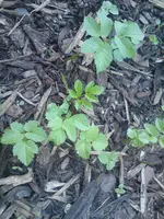 DSC01027.webp