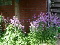 PICT0031.webp