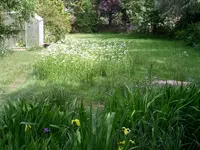 PICT0030.webp