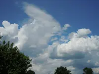 054.webp