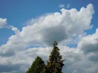 060.webp