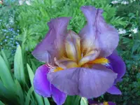067.webp