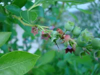 DSC05537.webp