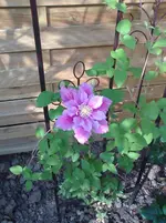 Foto0214_1.webp