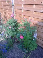 Foto0215_1.webp