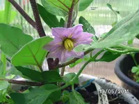 BILD5704.webp