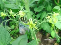 BILD5707.webp