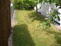 comp_garten20.05.11 002.webp