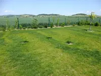 DSCF8857.webp