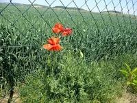 DSCF8859.webp