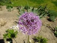 DSCF8862.webp