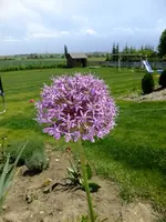 DSCF8865.webp