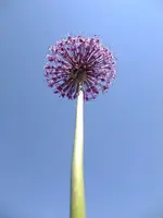 DSCF8866.webp