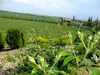 DSCF8868.webp