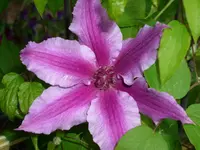 DSCI1363.webp