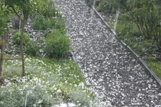 Garten Mai3 005.webp