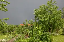 Garten Mai3 015.webp