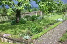Garten Mai3 016.webp