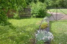 Garten Mai3 017.webp