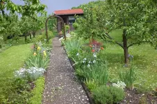 Garten Mai3 018.webp