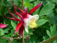 DSCI1364.webp