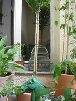 IMG_1645.webp