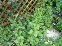 DSCF2128-Kopie2.webp