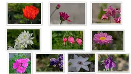 17.05.webp