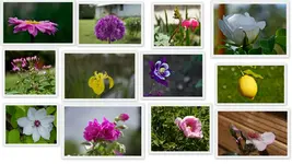 16.05_3.webp