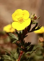 IMG_4412.webp