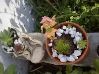 210520112780.webp