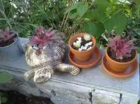 210520112779.webp