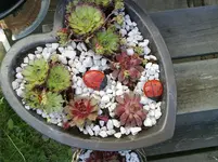 210520112775.webp