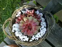 210520112776.webp