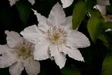 Botanischer Garten Erlangen  17.5 (19 von 189).webp