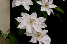 Botanischer Garten Erlangen  17.5 (20 von 189).webp