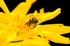 Botanische Erlangen 8 (1 von 1).webp