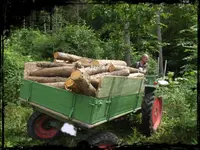 DSCF1238.webp