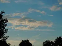 003.webp