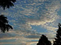 006.webp