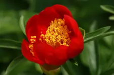 DSC05151.webp