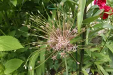 DSC05152.webp